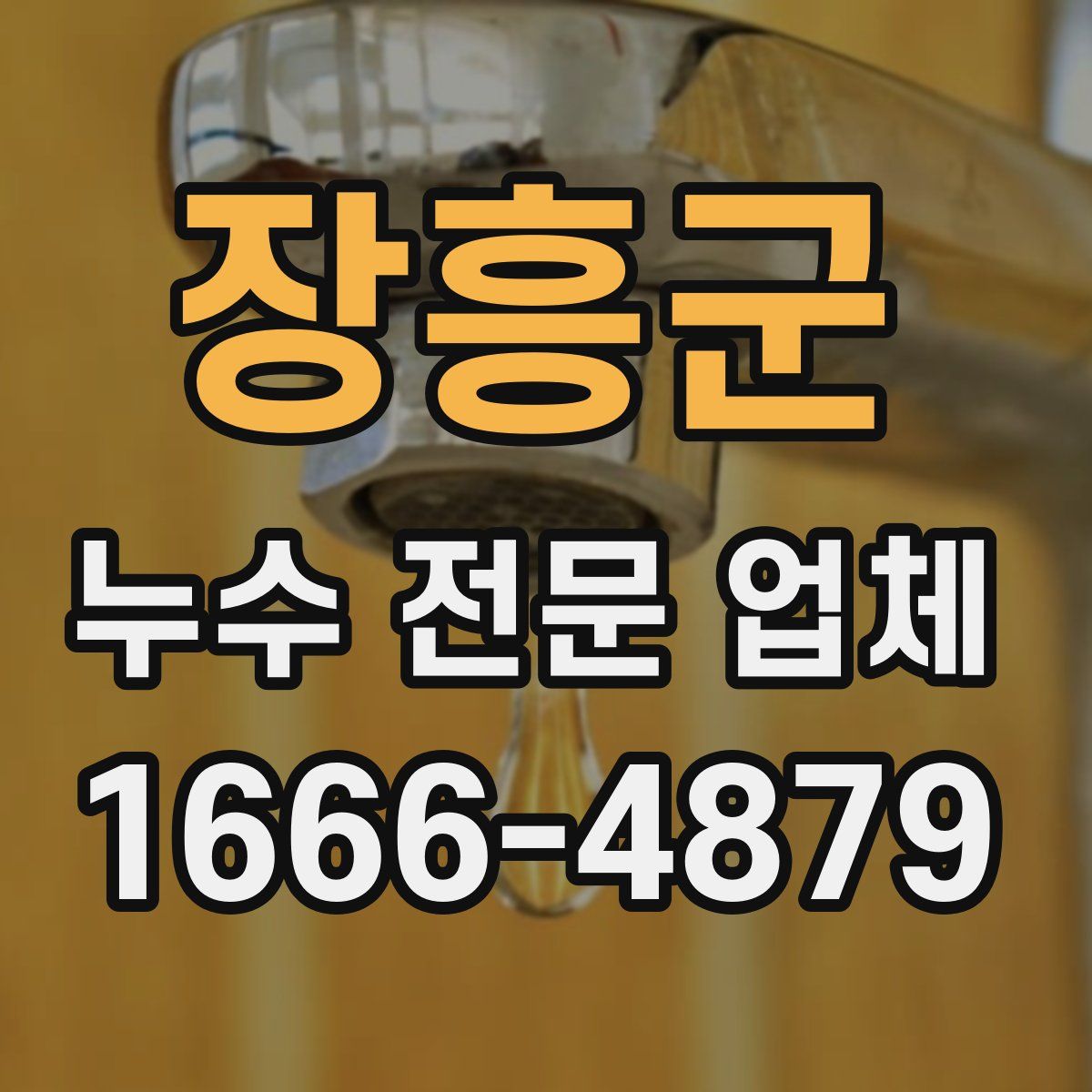 장흥군 누수 전문 업체