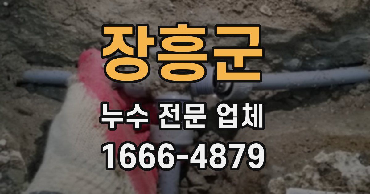장흥군 누수 전문 업체