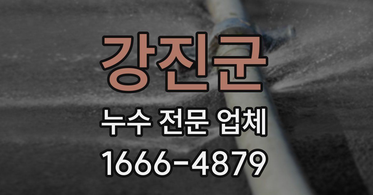 강진군 누수 전문 업체