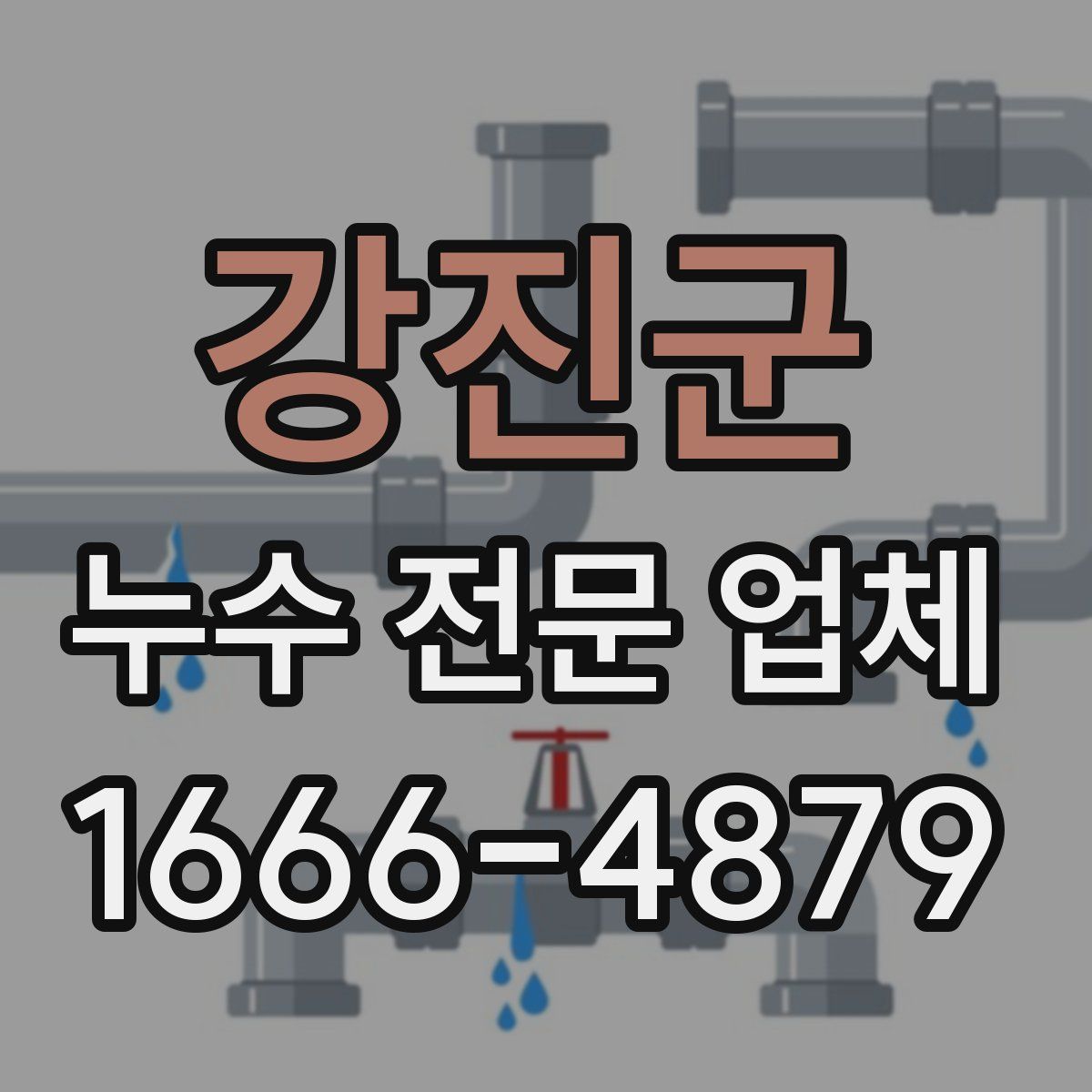 강진군 누수 전문 업체