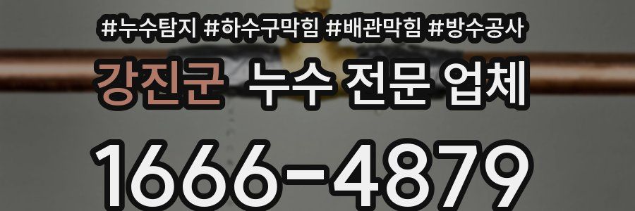 강진군 누수 전문 업체