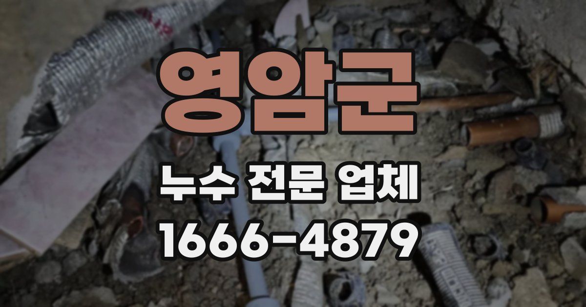 영암군 누수 전문 업체