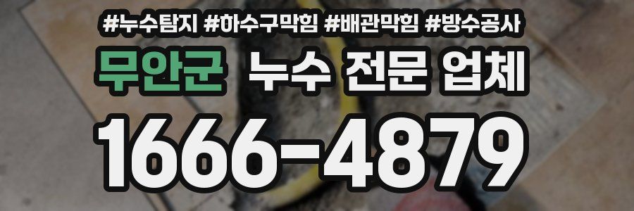 무안군 누수 전문 업체