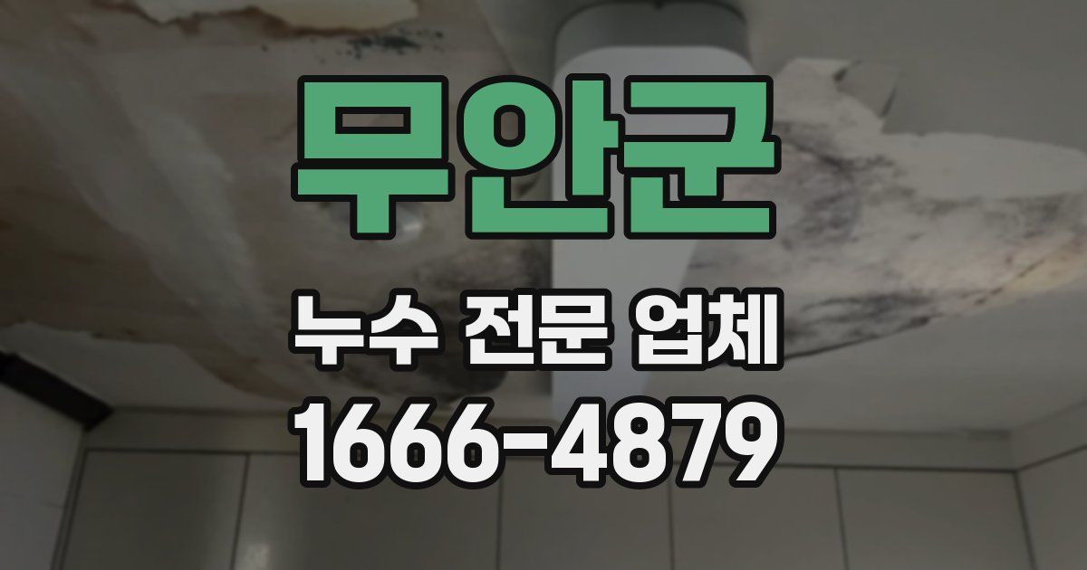무안군 누수 전문 업체