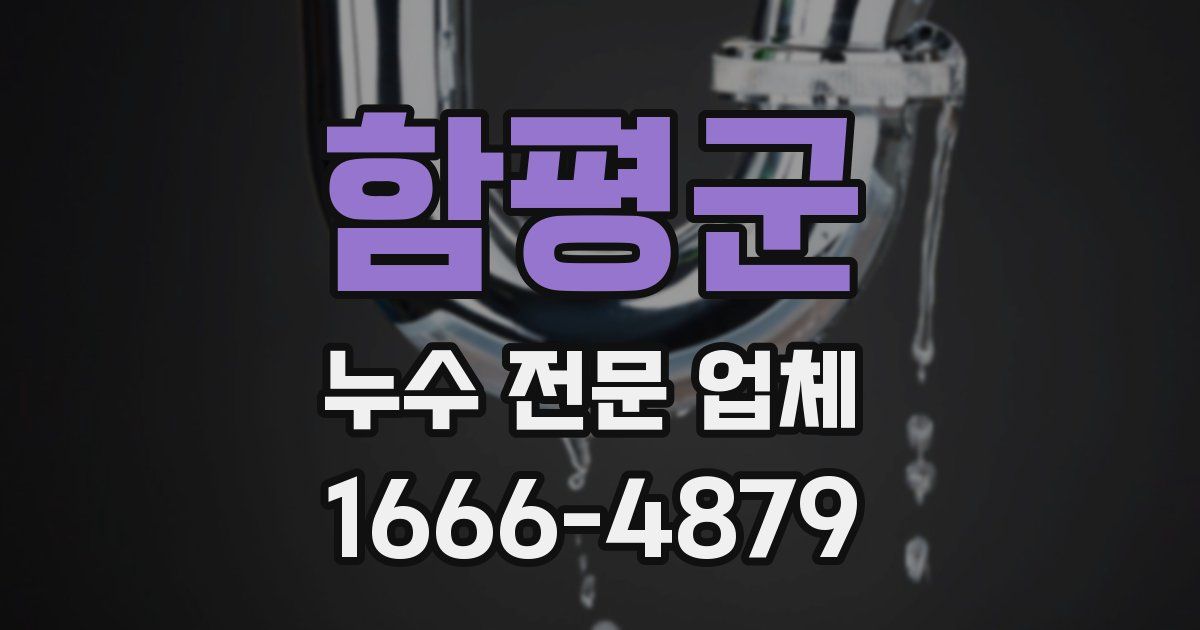 함평군 누수 전문 업체