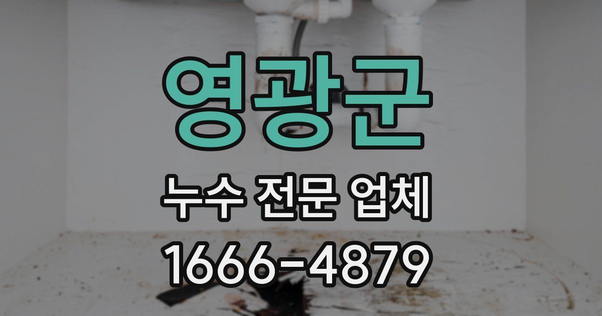 영광군 누수 전문 업체