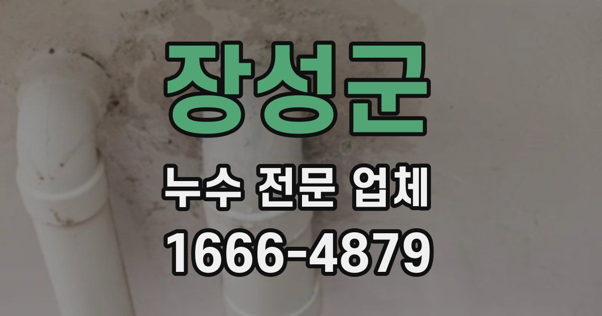 장성군 누수 전문 업체