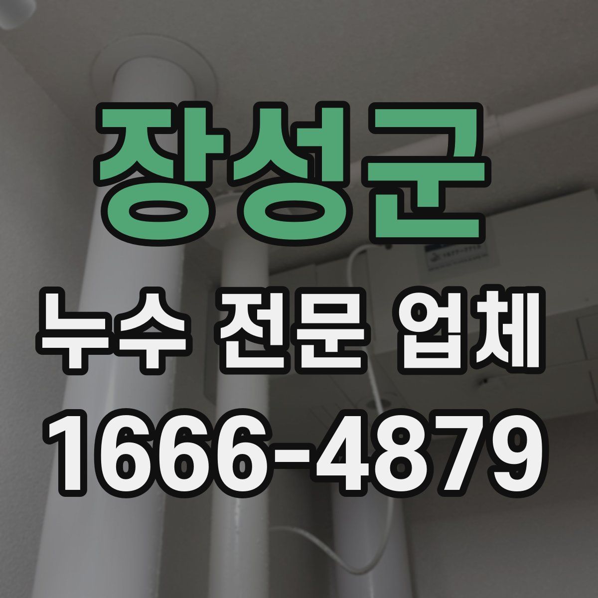 장성군 누수 전문 업체