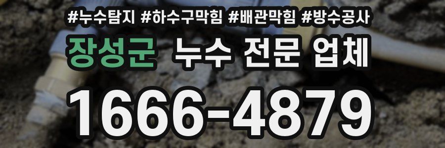 장성군 누수 전문 업체