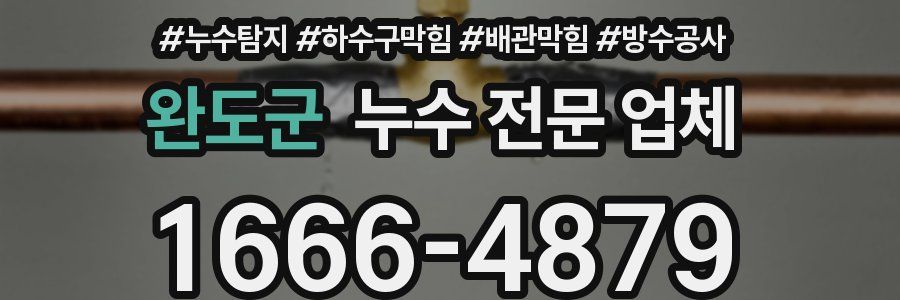 완도군 누수 전문 업체