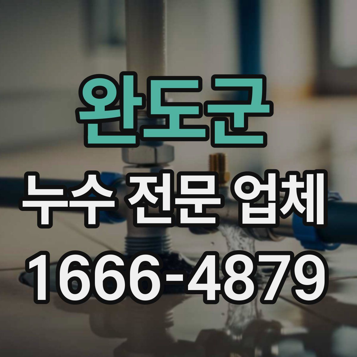 완도군 누수 전문 업체