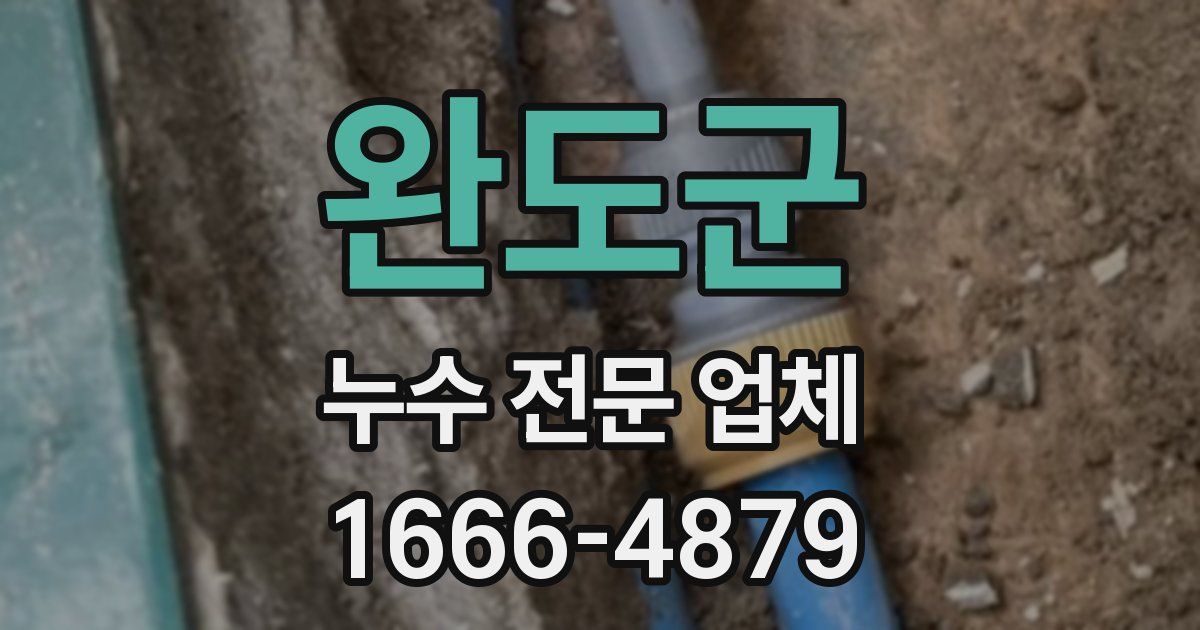 완도군 누수 전문 업체