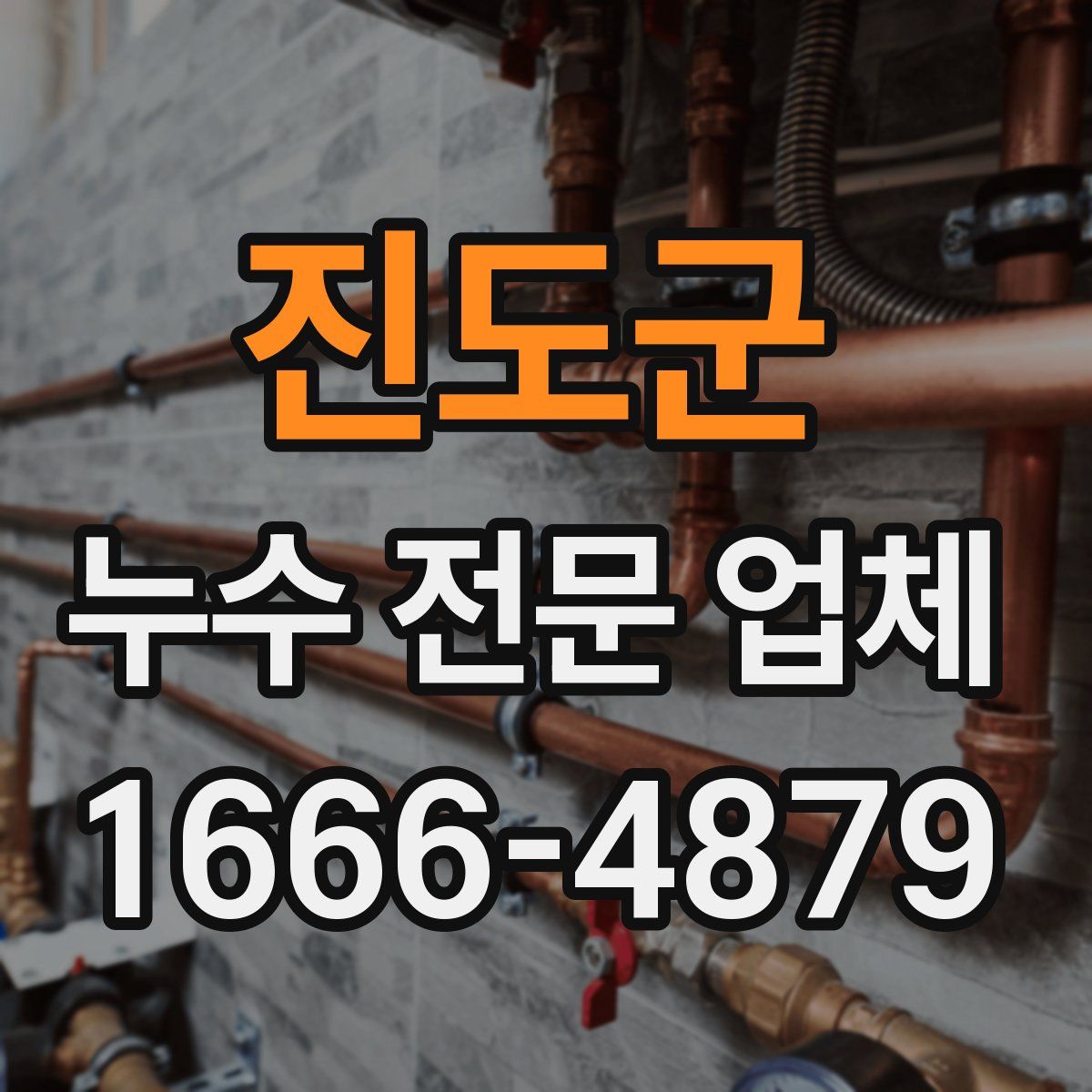 진도군 누수 전문 업체