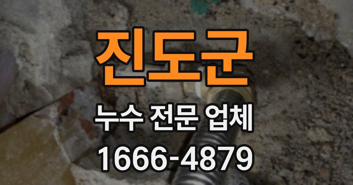 진도군 누수 전문 업체