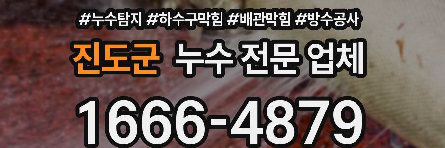 진도군 누수 전문 업체