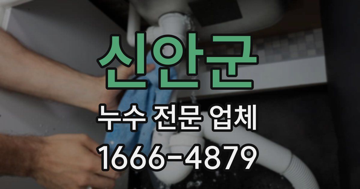 신안군 누수 전문 업체