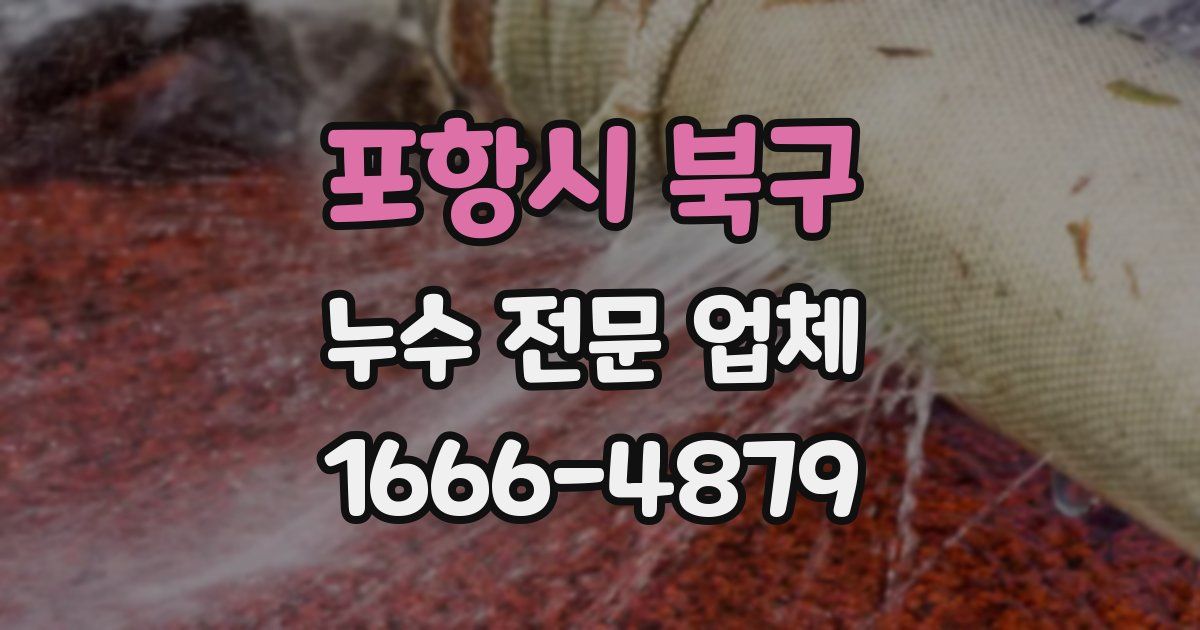 포항시 북구 누수 전문 업체