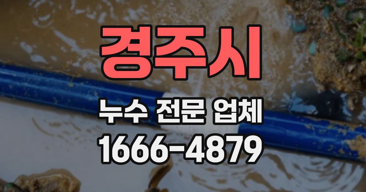 경주시 누수 전문 업체