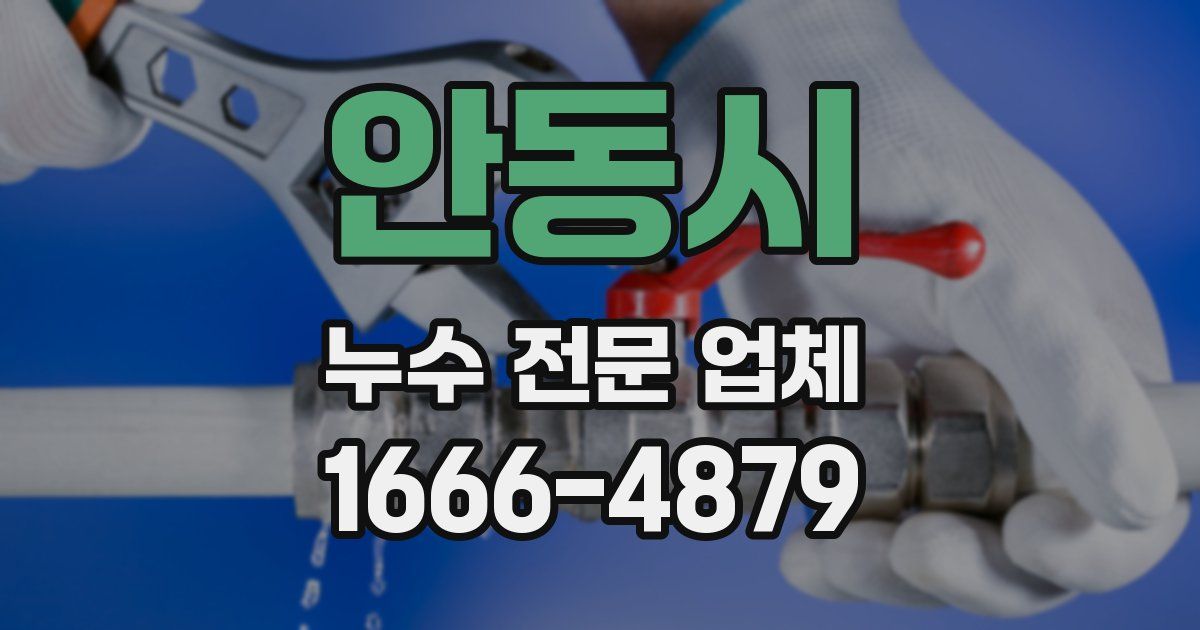 안동시 누수 전문 업체