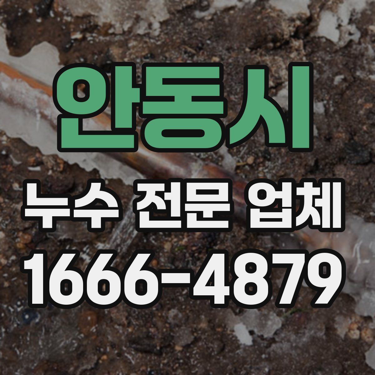 안동시 누수 전문 업체