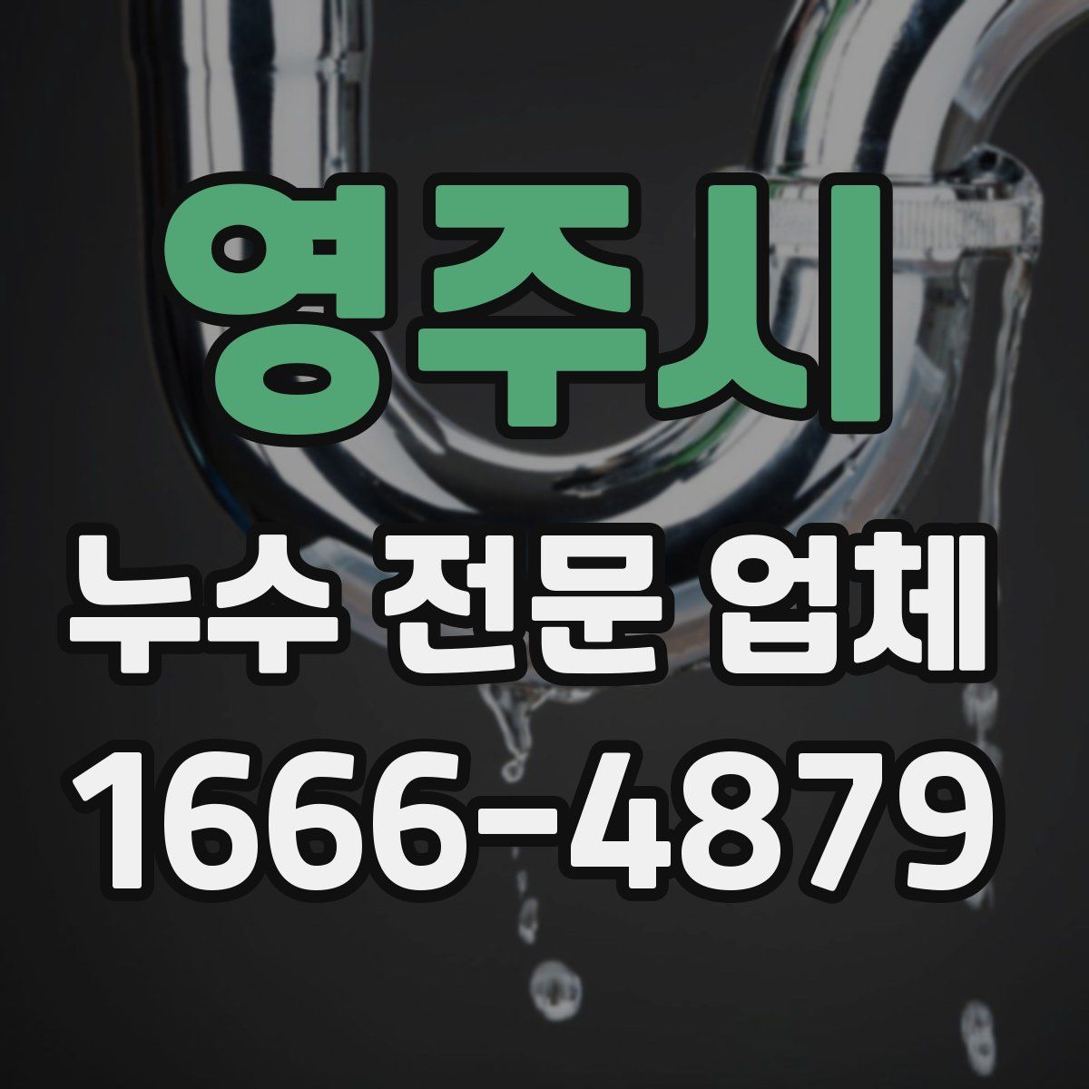 영주시 누수 전문 업체