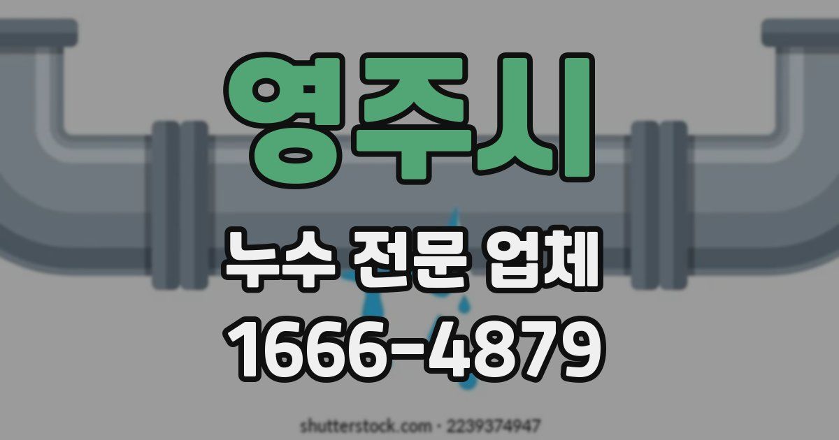 영주시 누수 전문 업체
