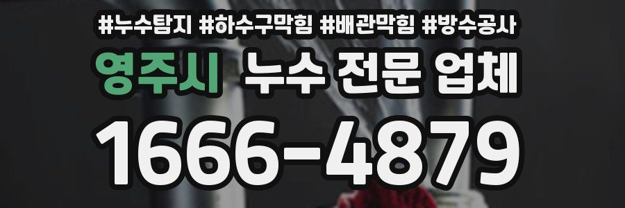 영주시 누수 전문 업체