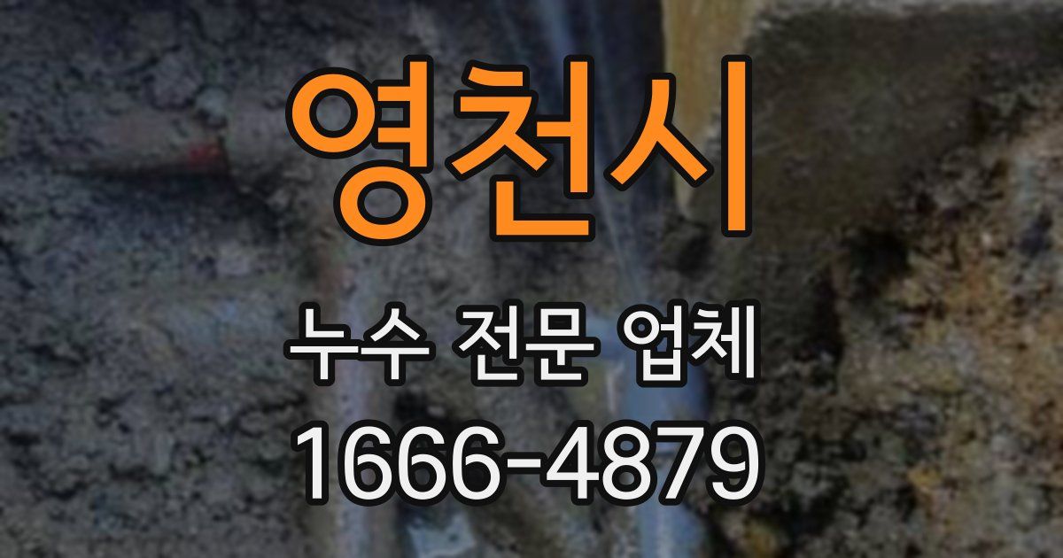 영천시 누수 전문 업체