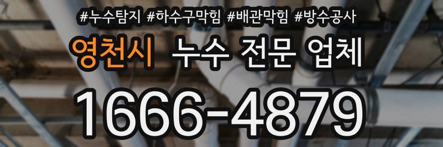 영천시 누수 전문 업체
