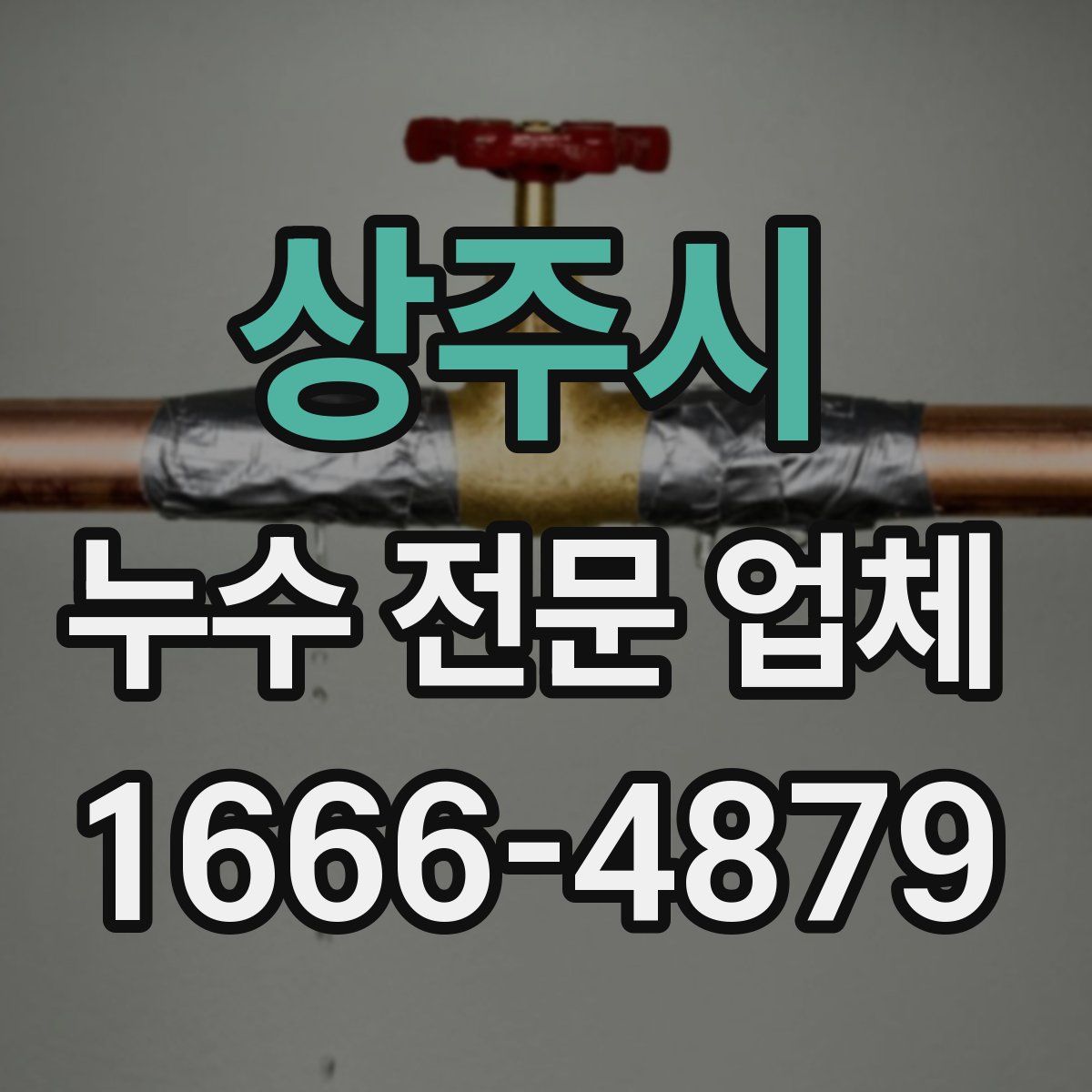 상주시 누수 전문 업체