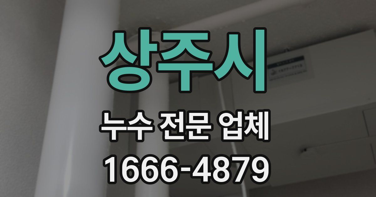 상주시 누수 전문 업체