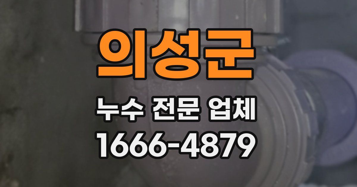 의성군 누수 전문 업체