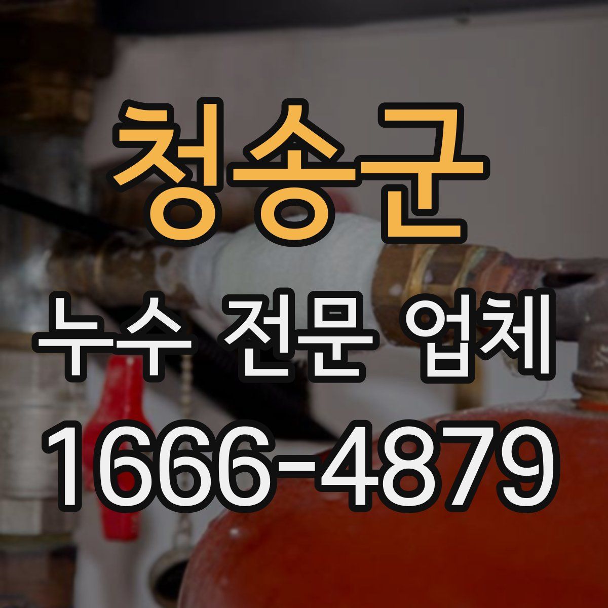 청송군 누수 전문 업체