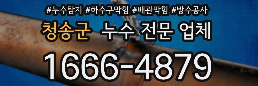 청송군 누수 전문 업체