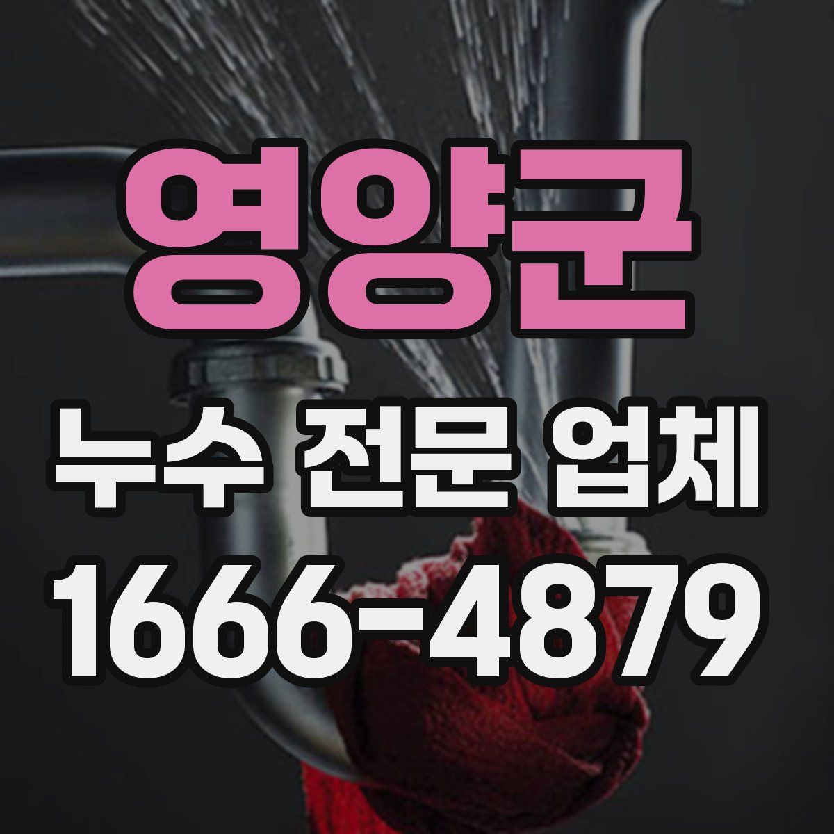영양군 누수 전문 업체