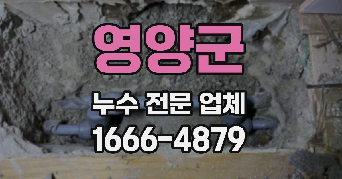영양군 누수 전문 업체