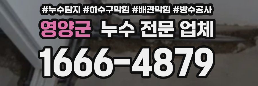 영양군 누수 전문 업체