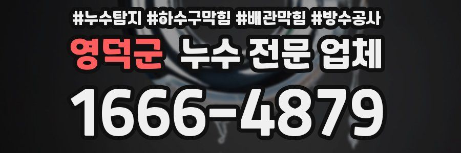 영덕군 누수 전문 업체