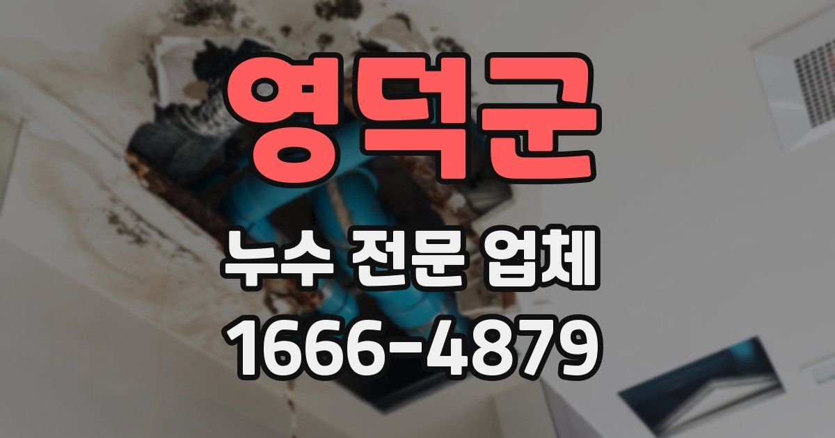 영덕군 누수 전문 업체