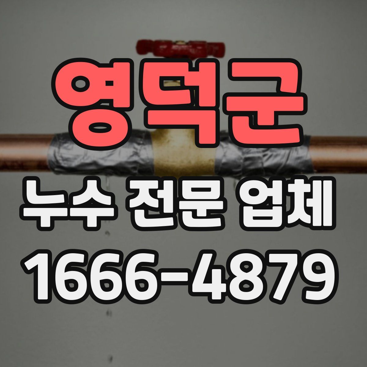 영덕군 누수 전문 업체