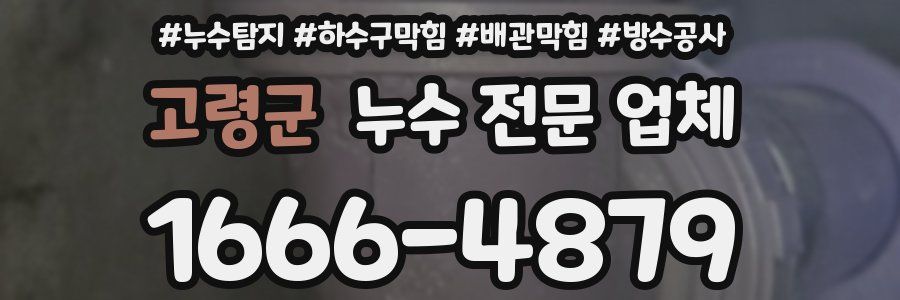 고령군 누수 전문 업체