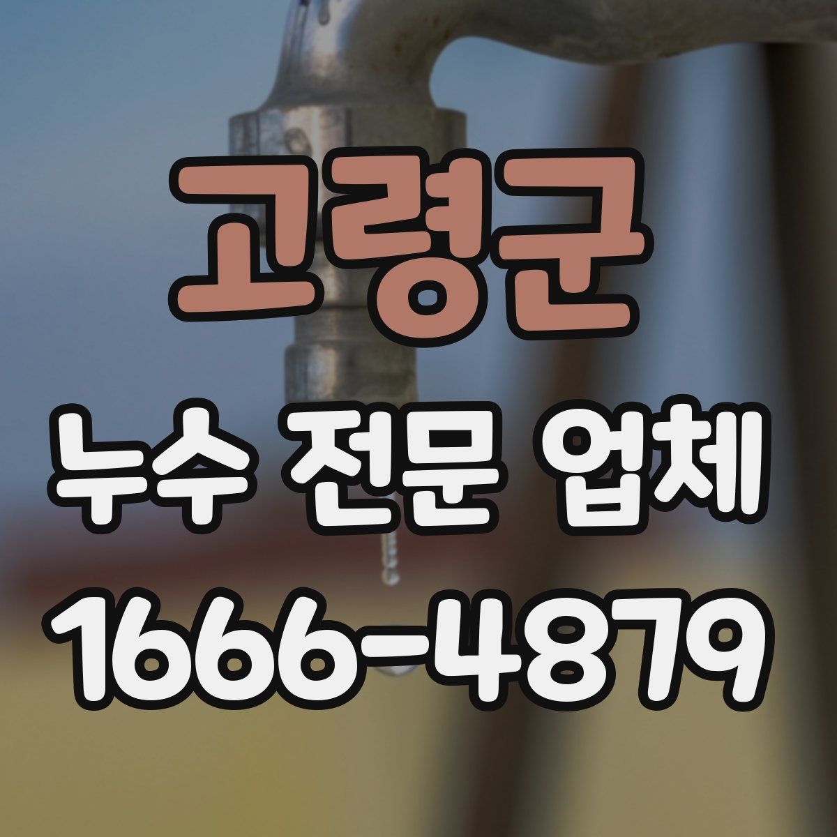 고령군 누수 전문 업체