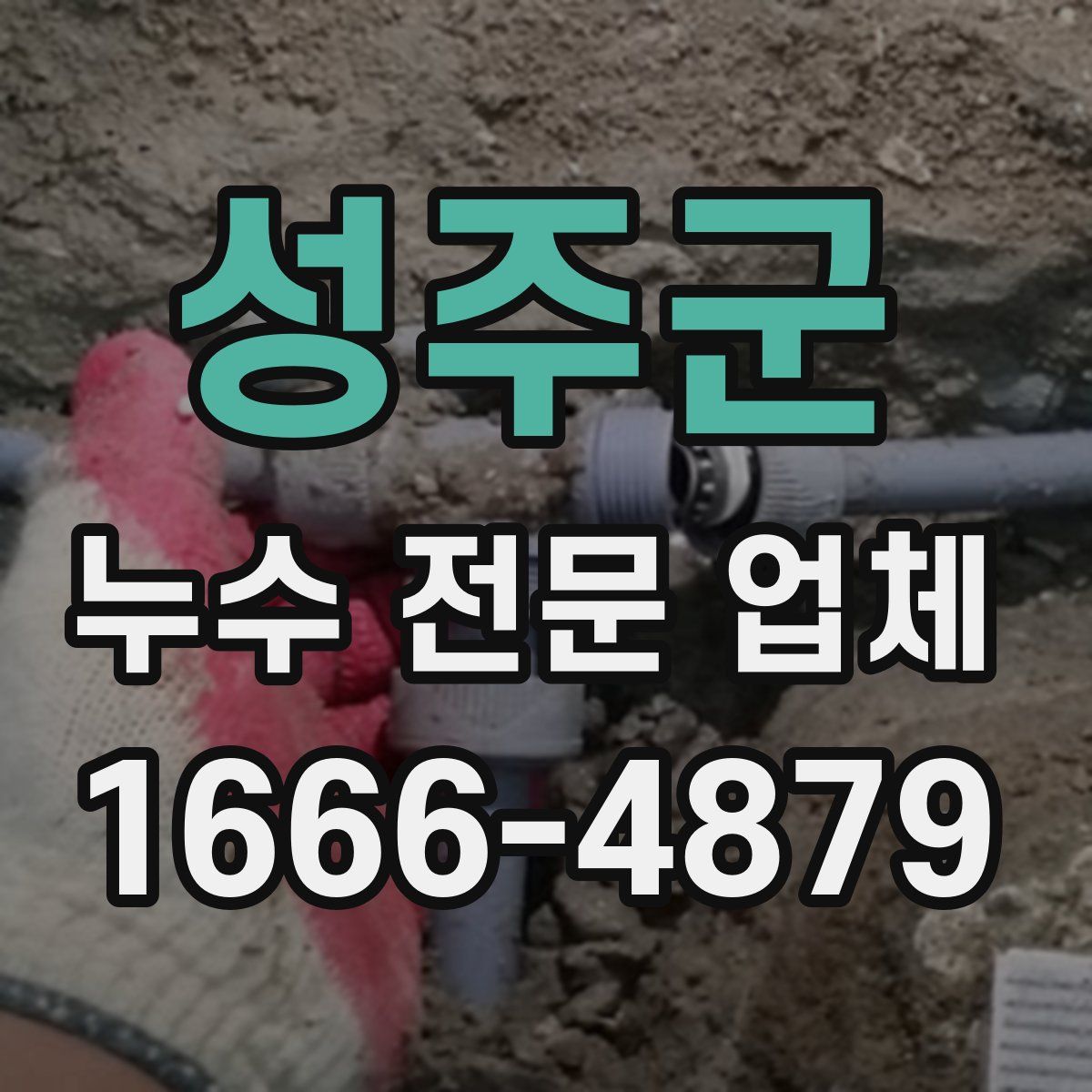 성주군 누수 전문 업체