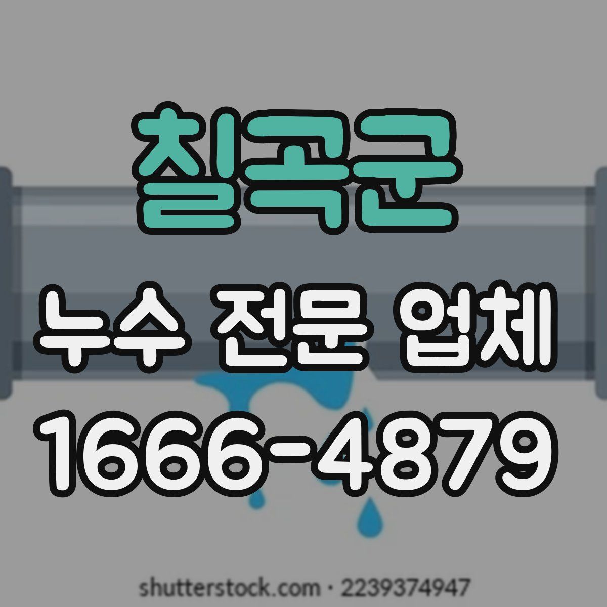 칠곡군 누수 전문 업체