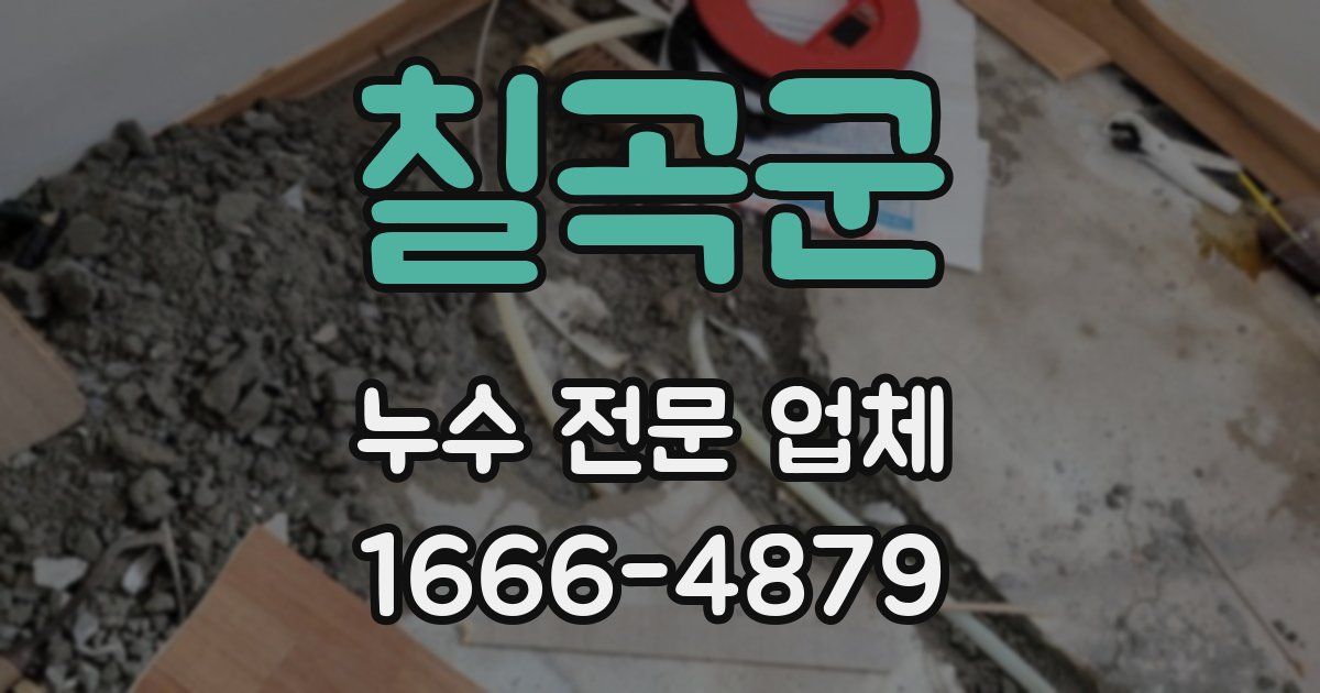 칠곡군 누수 전문 업체