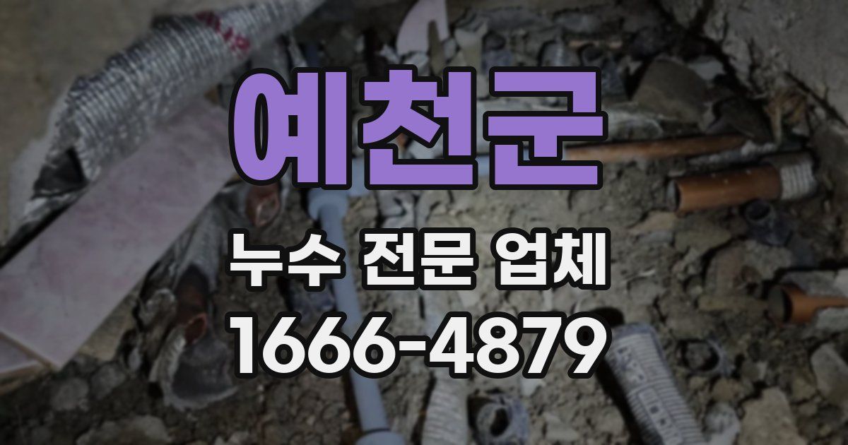 예천군 누수 전문 업체