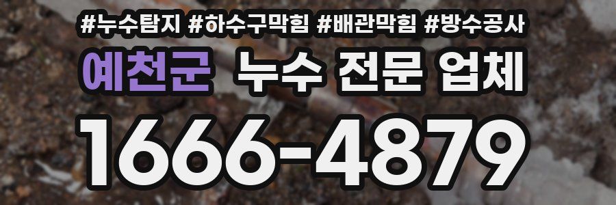 예천군 누수 전문 업체