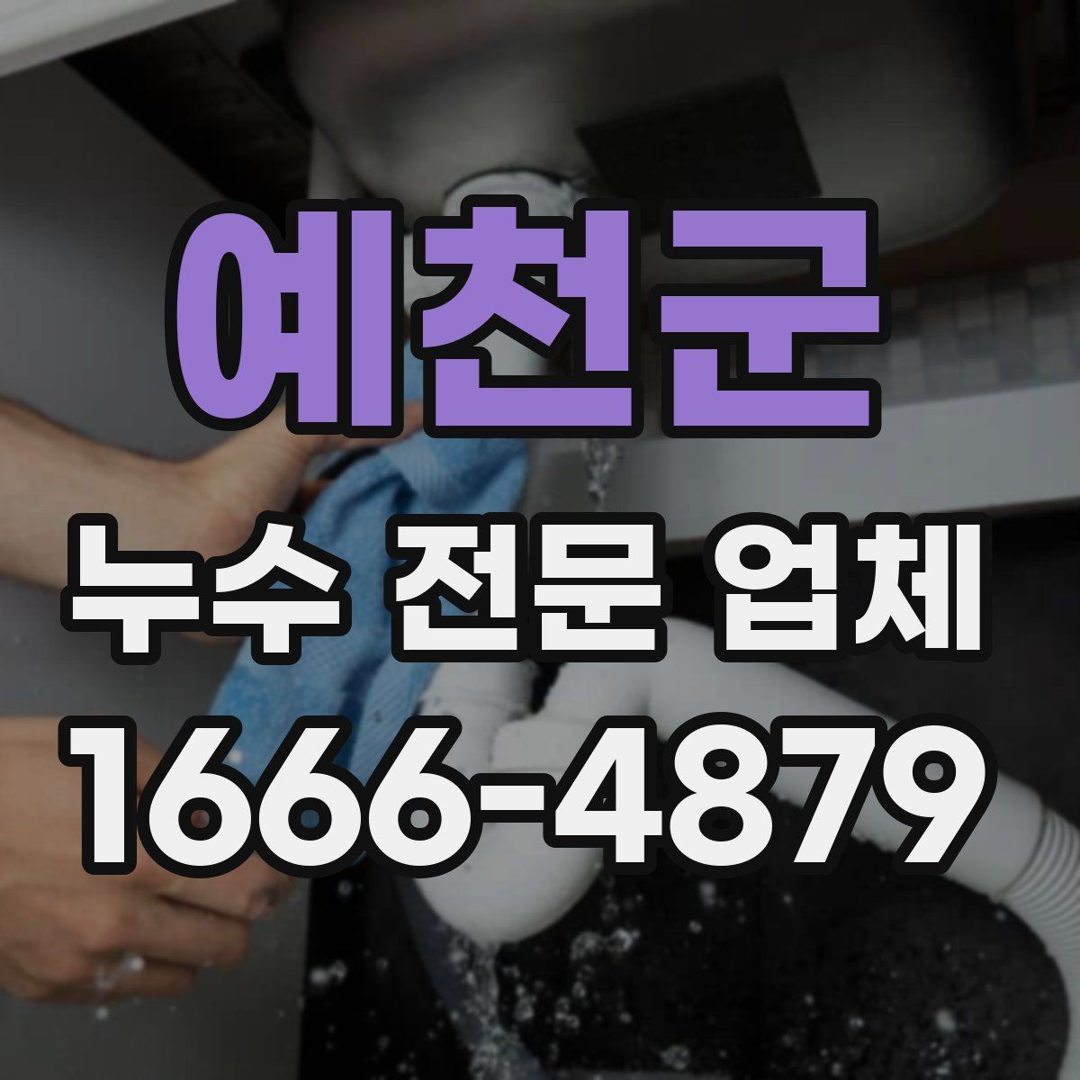 예천군 누수 전문 업체