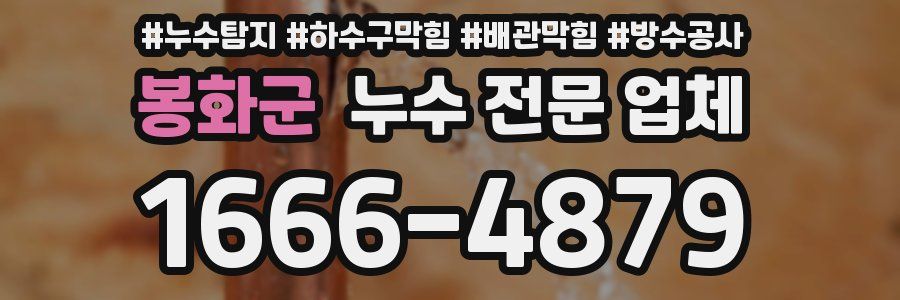 봉화군 누수 전문 업체