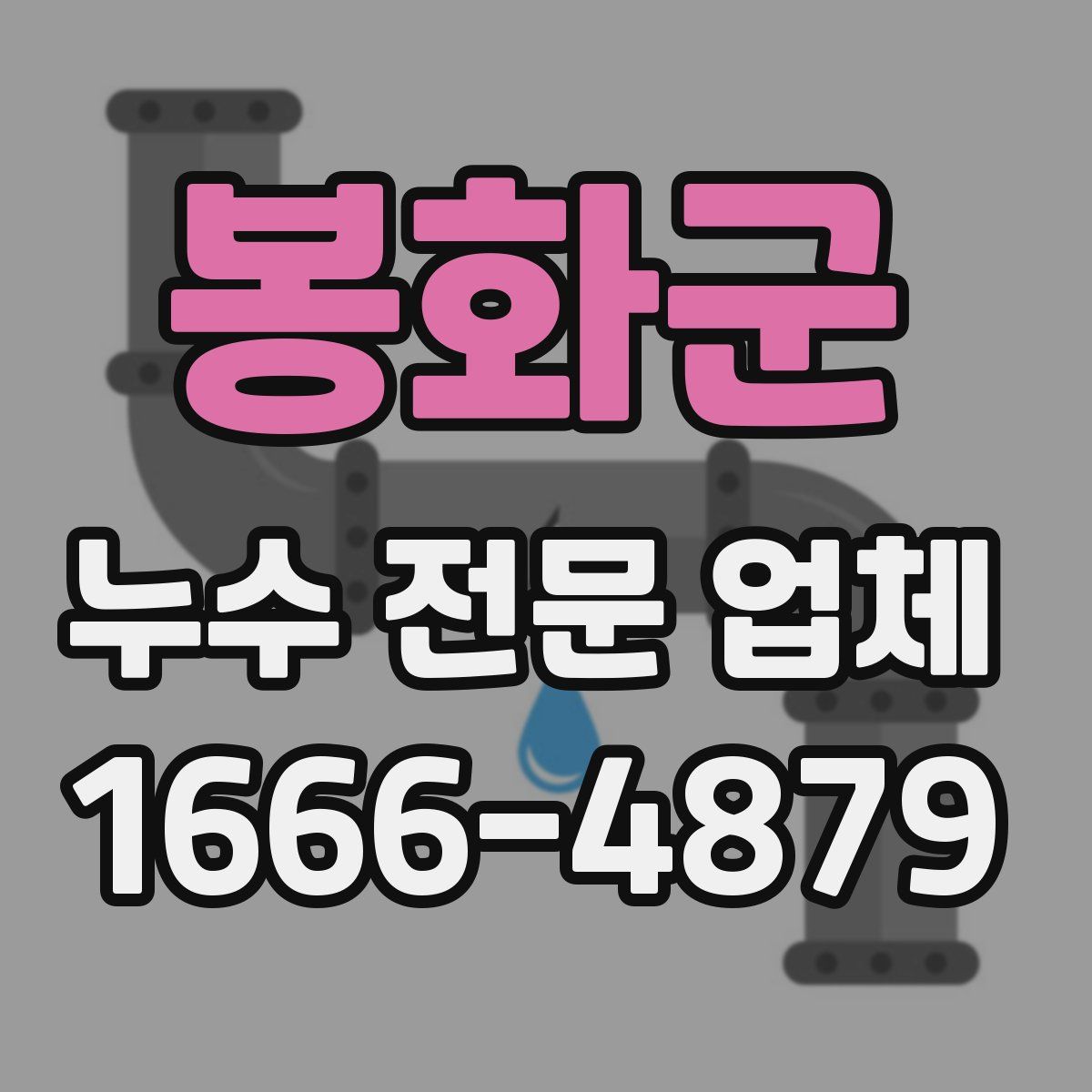 봉화군 누수 전문 업체